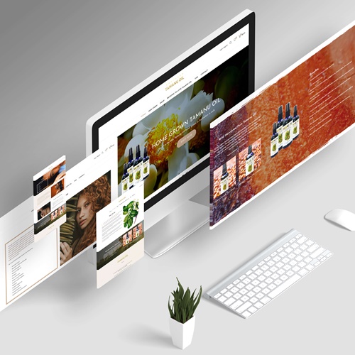 3-page-website-sdds-web-design