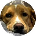 Ryan Dowdle profile picture